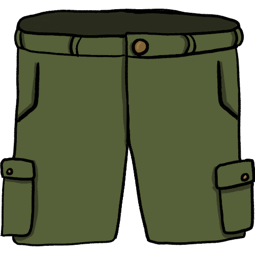 A pair of green cargo shorts.